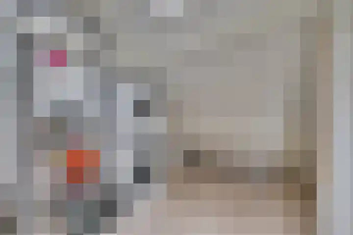 Aan de Wassum 9 Venlo thumbnail 37