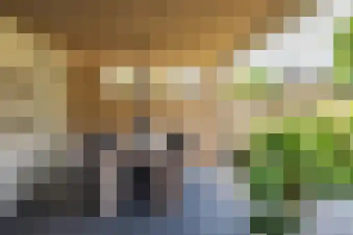 Aan de Wassum 9 Venlo thumbnail 46