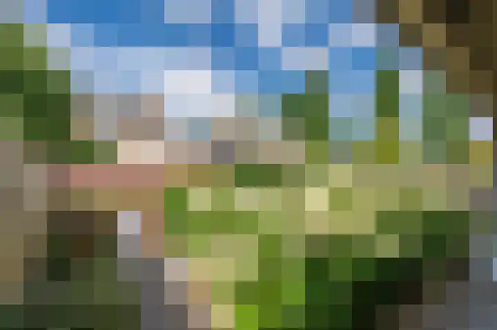 Aan de Wassum 9 Venlo thumbnail 51