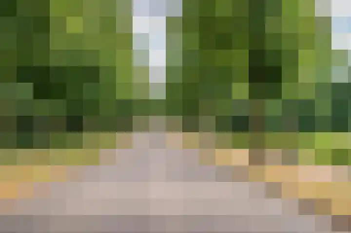 Aan de Wassum 9 Venlo thumbnail 55
