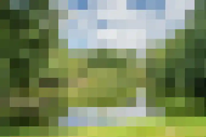 Aan de Wassum 9 Venlo thumbnail 56