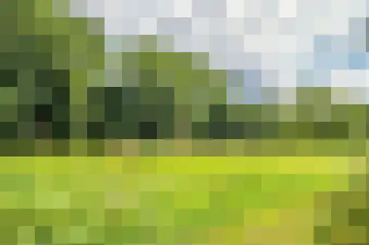 Aan de Wassum 9 Venlo thumbnail 57