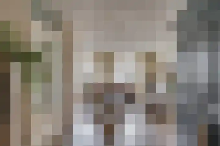 Aan de Wassum 9 Venlo thumbnail 7