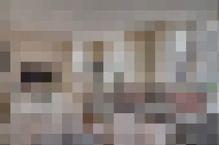 Aan de Wassum 9 Venlo thumbnail 9