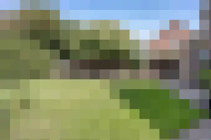 Aan de Weegbrug 5 Kessel thumbnail 33