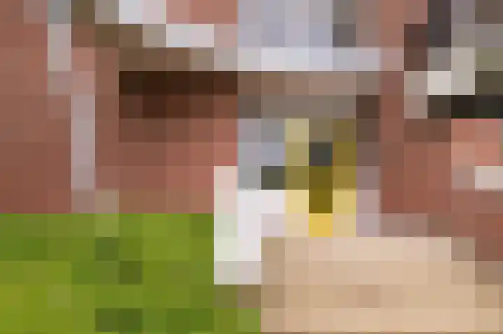 Aan de Weverij 37 Vaals thumbnail 16