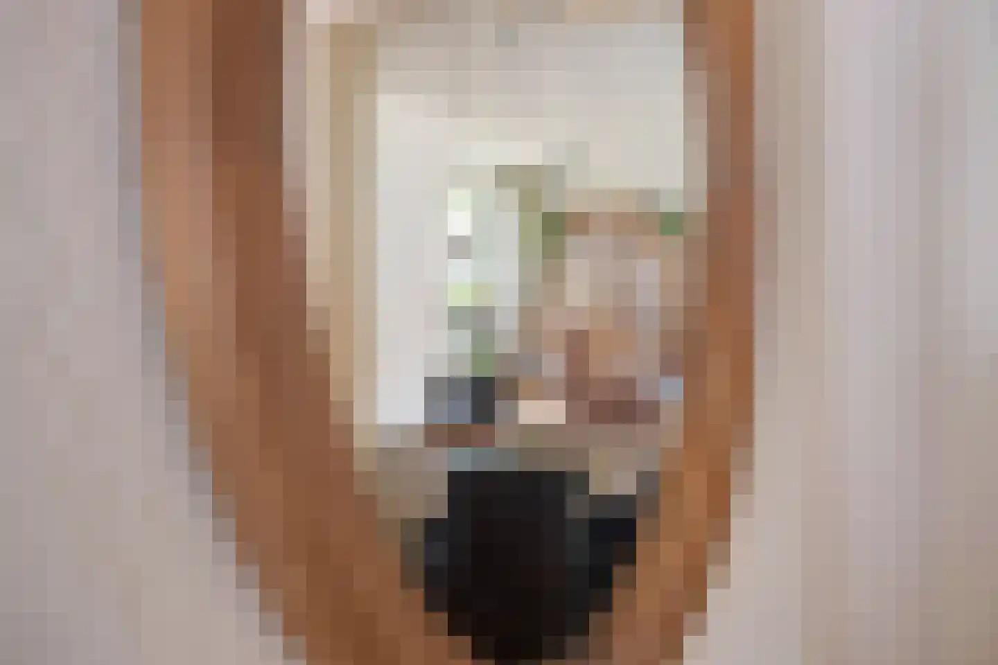 Aan de Wijer 8 Meijel thumbnail 11