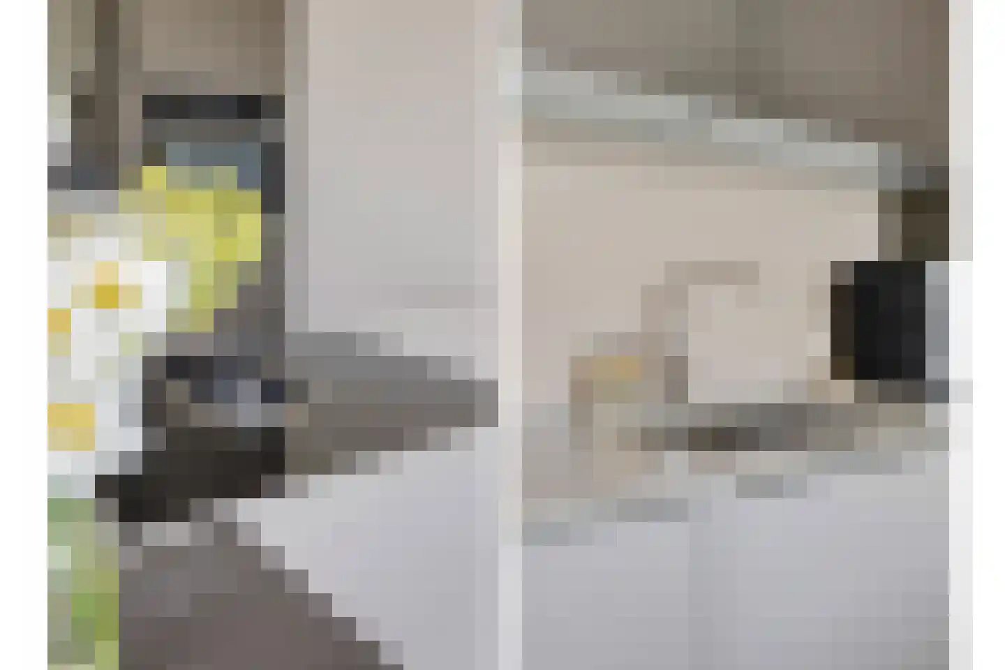 Aan de Wijer 8 Meijel thumbnail 20