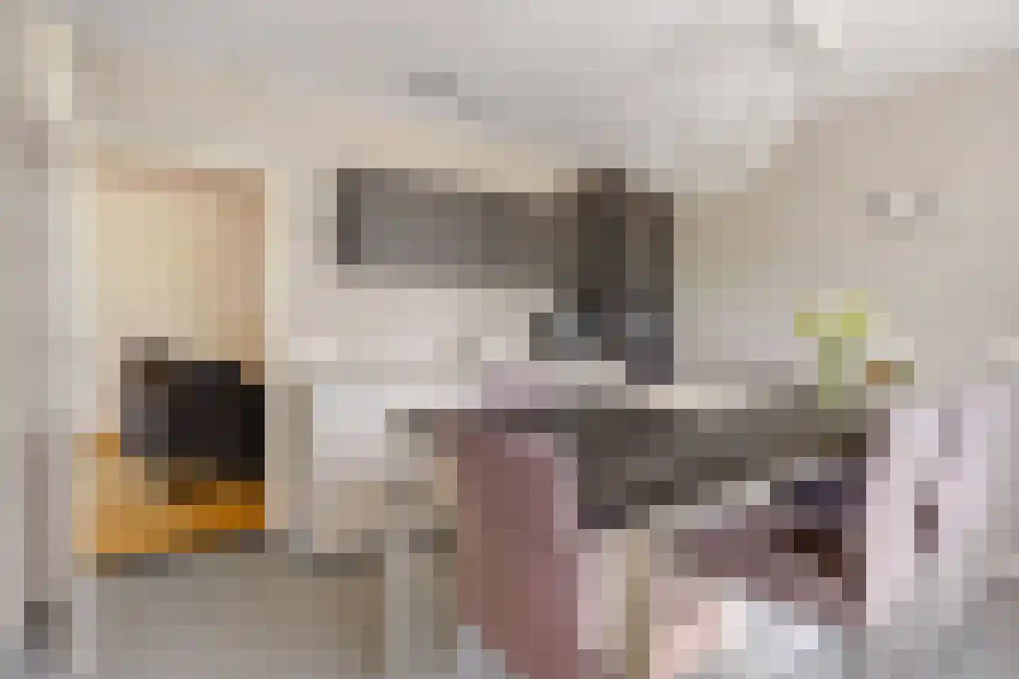 Aan de Wijer 8 Meijel thumbnail 21