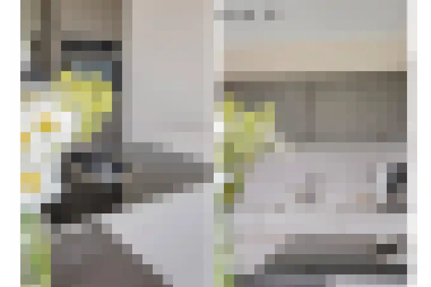 Aan de Wijer 8 Meijel thumbnail 22
