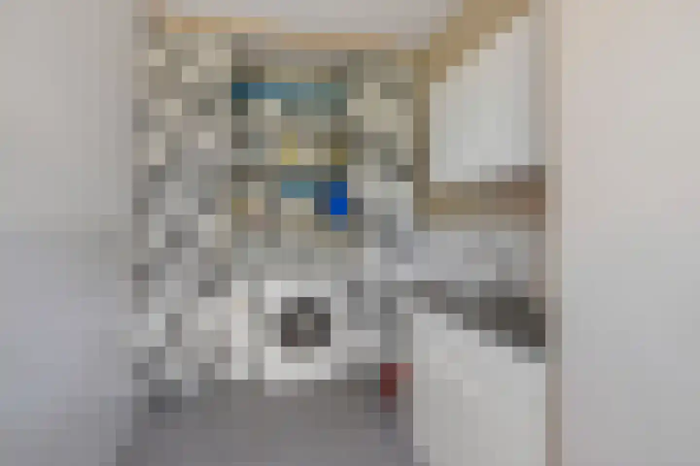 Aan de Wijer 8 Meijel thumbnail 25