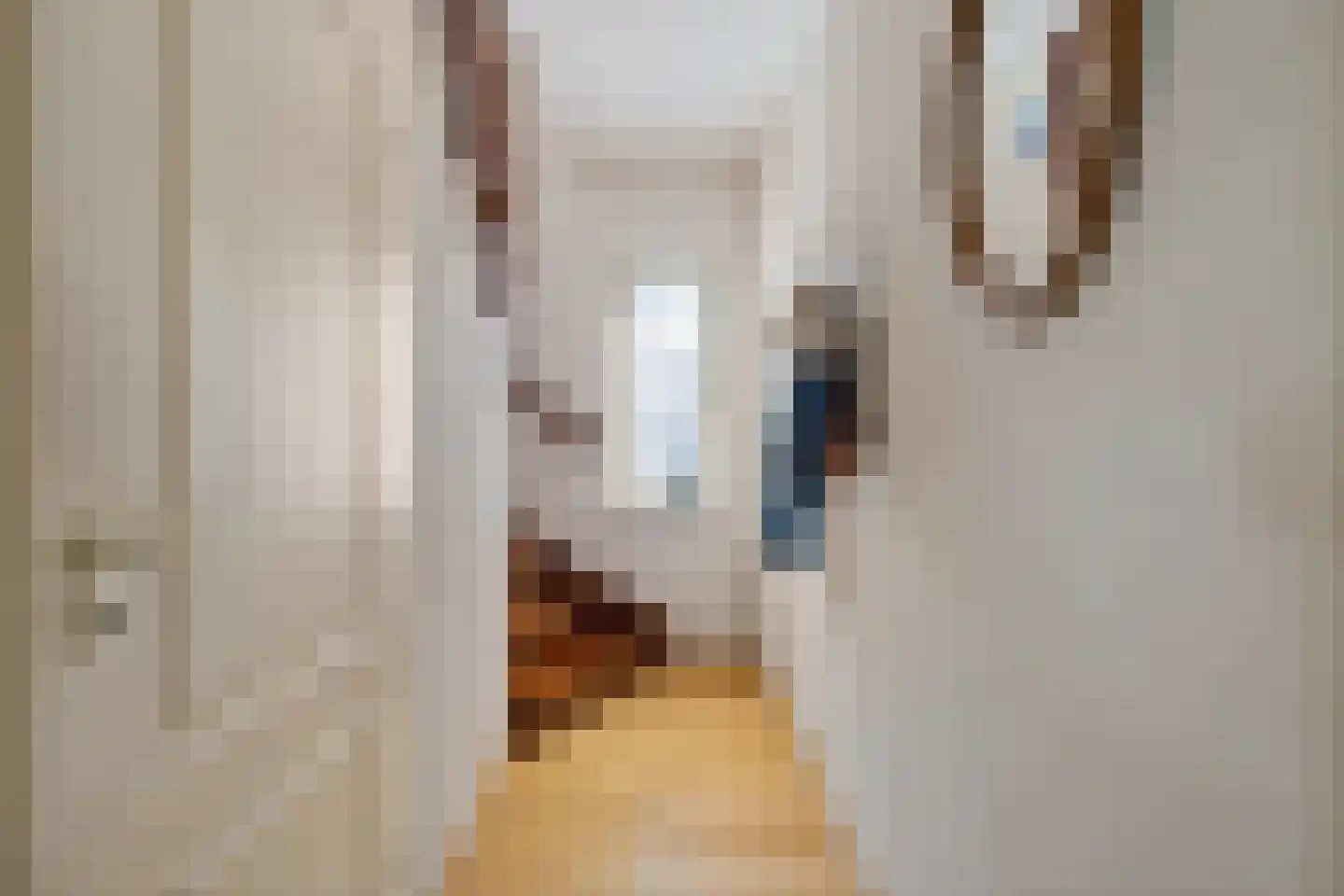 Aan de Wijer 8 Meijel thumbnail 27