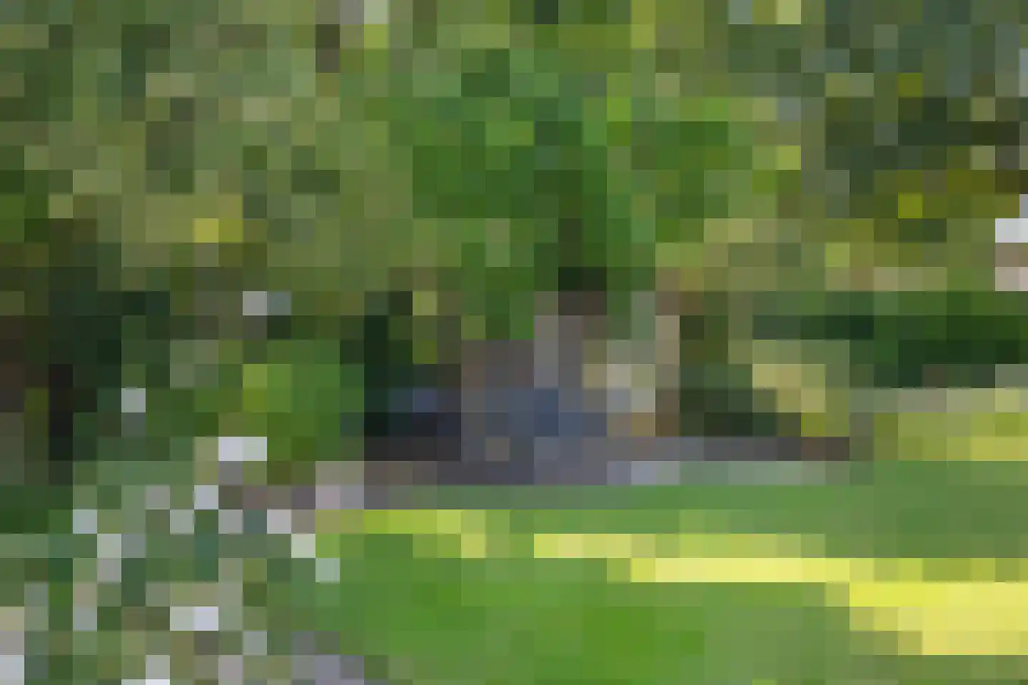 Aan de Wijer 8 Meijel thumbnail 4