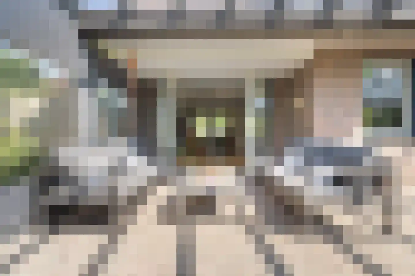 Aan de Wijer 8 Meijel thumbnail 40