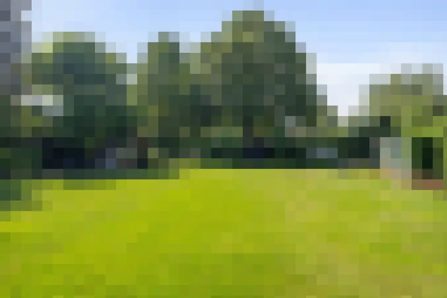 Aan de Wijer 8 Meijel thumbnail 50