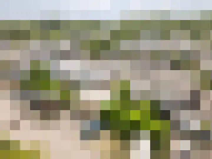 Aan de Wind 10 Almere thumbnail 42