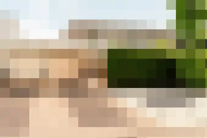Aan de Wind 10 Almere thumbnail 7