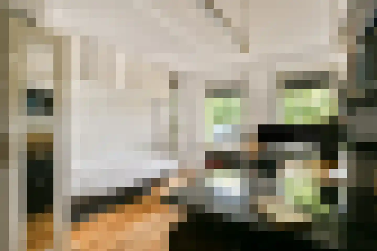 Aan de Wind 15 Almere thumbnail 23
