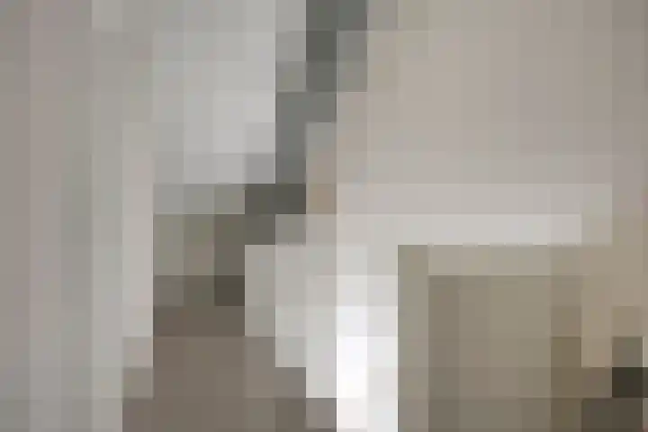 Aan de Wittenberg 26 Roermond thumbnail 24