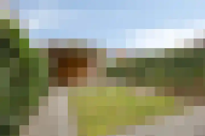 Aan de Wittenberg 26 Roermond thumbnail 29
