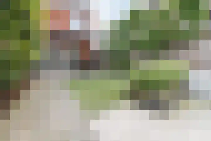Aan de Wittenberg 56 Roermond thumbnail 19