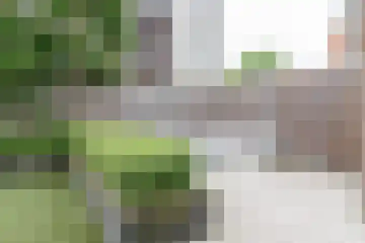 Aan de Wittenberg 56 Roermond thumbnail 21