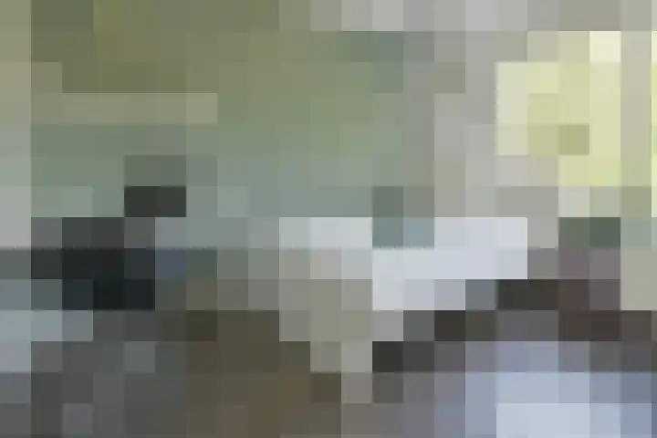Aan de Zoom 32 Uithoorn thumbnail 18