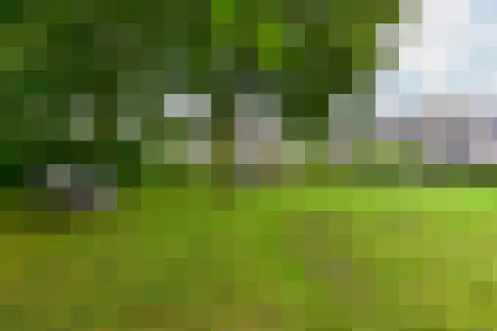 Aan de Zoom 32 Uithoorn thumbnail 27