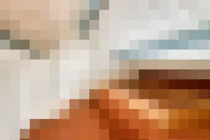 Aan het Beeker Kruis 19 Beek thumbnail 24