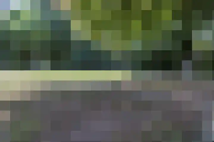 Aan het Beeker Kruis 19 Beek thumbnail 34