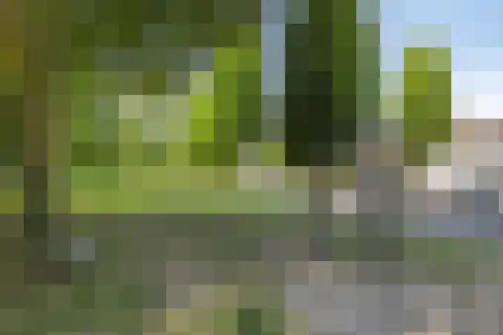 Aan het Beeker Kruis 19 Beek thumbnail 36