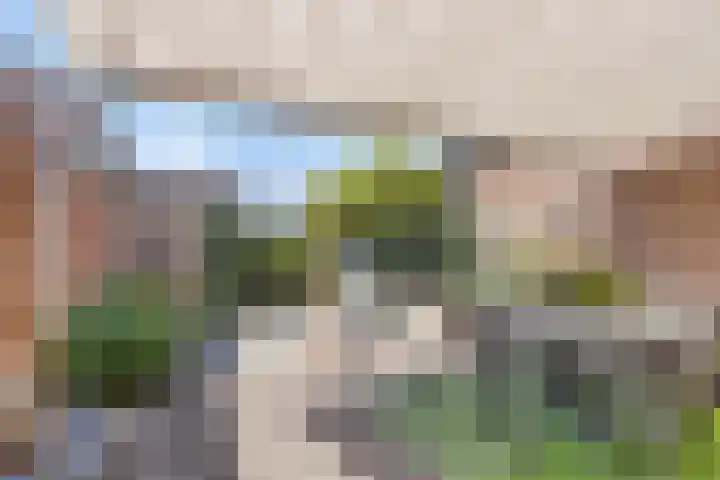 Aan het Beeker Kruis 19 Beek thumbnail 4