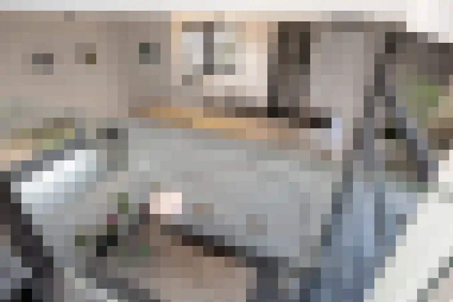 Aan het beeldje 22 Gronsveld thumbnail 34