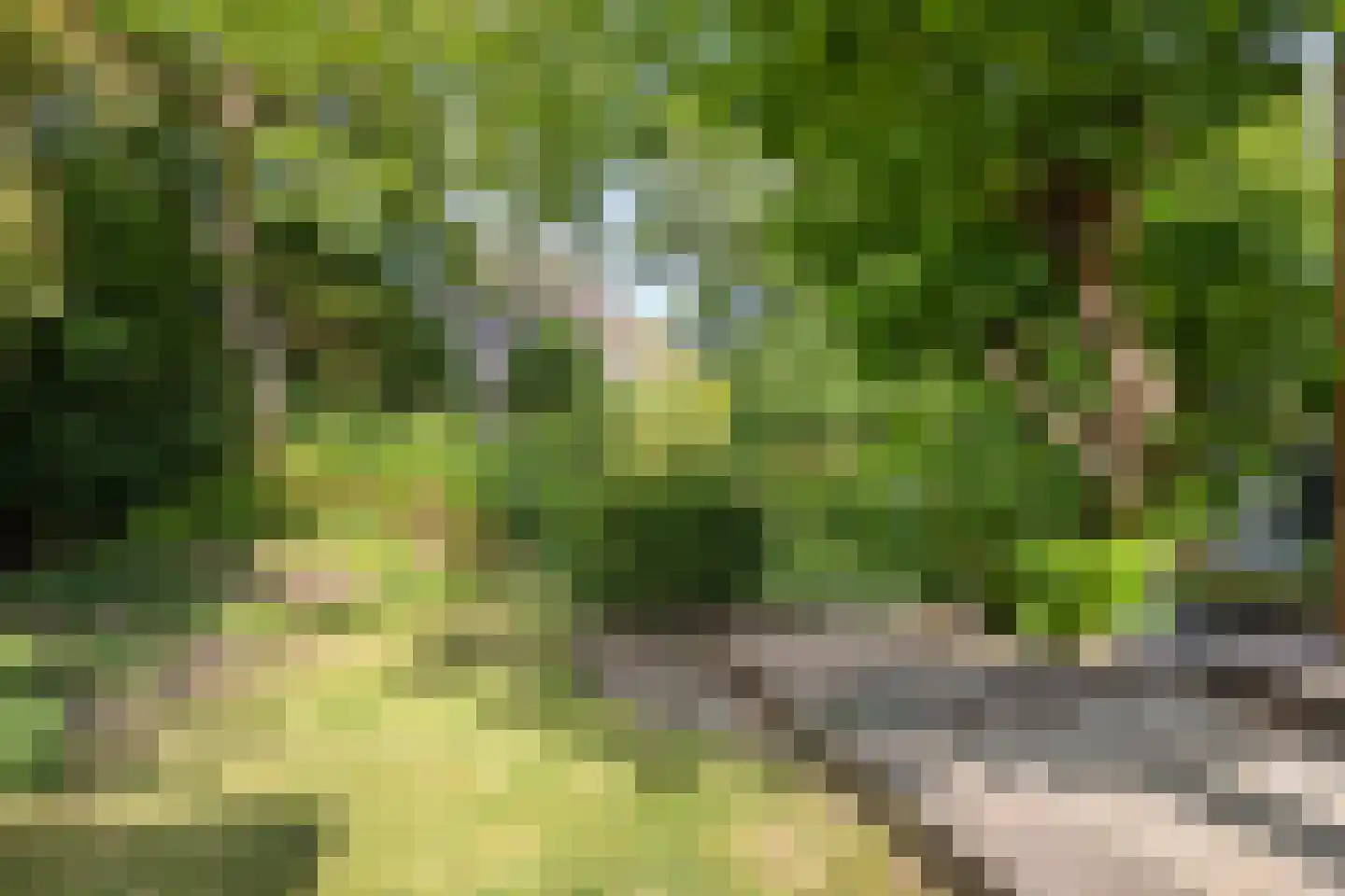Aan het beeldje 22 Gronsveld thumbnail 51