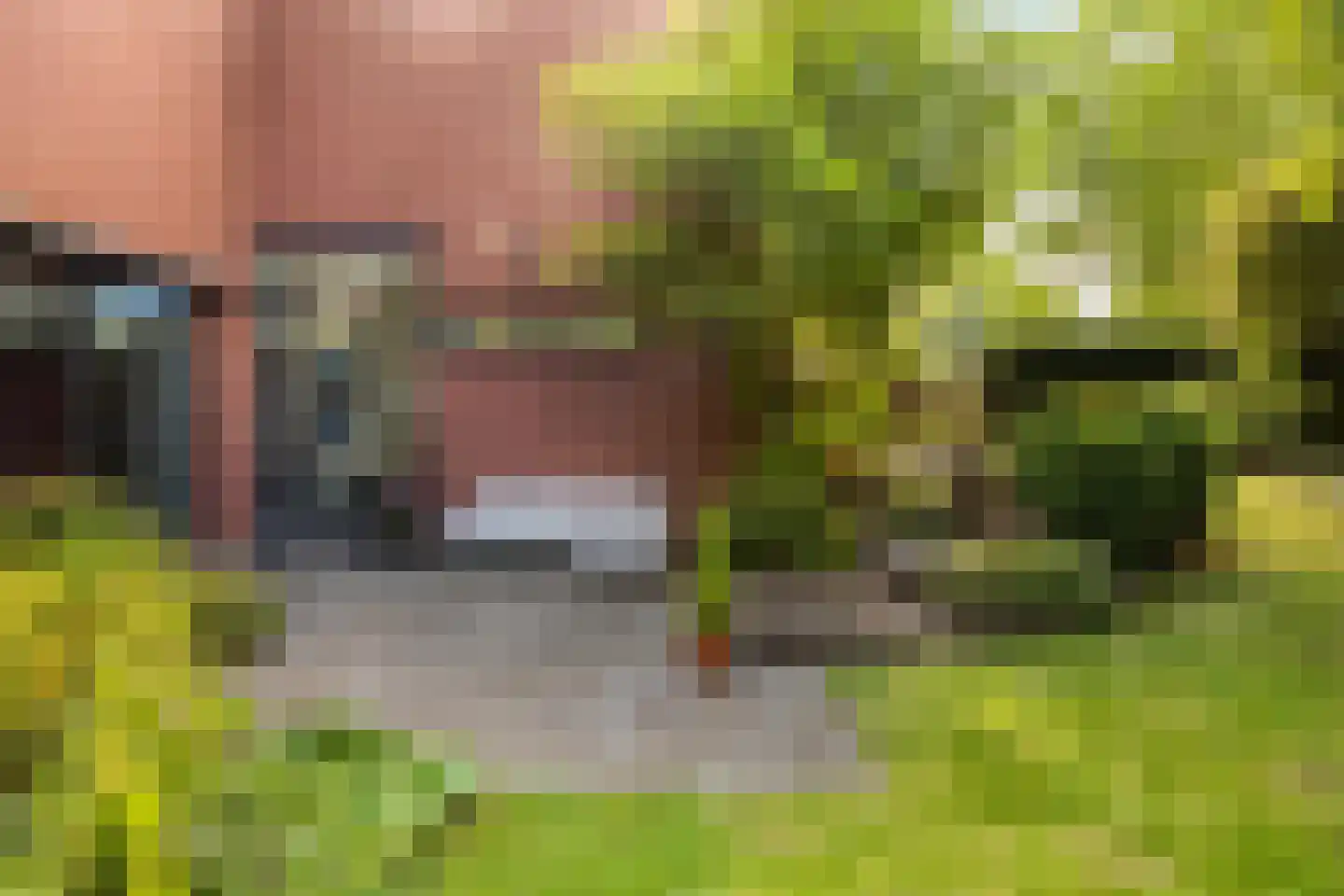 Aan het beeldje 22 Gronsveld thumbnail 56