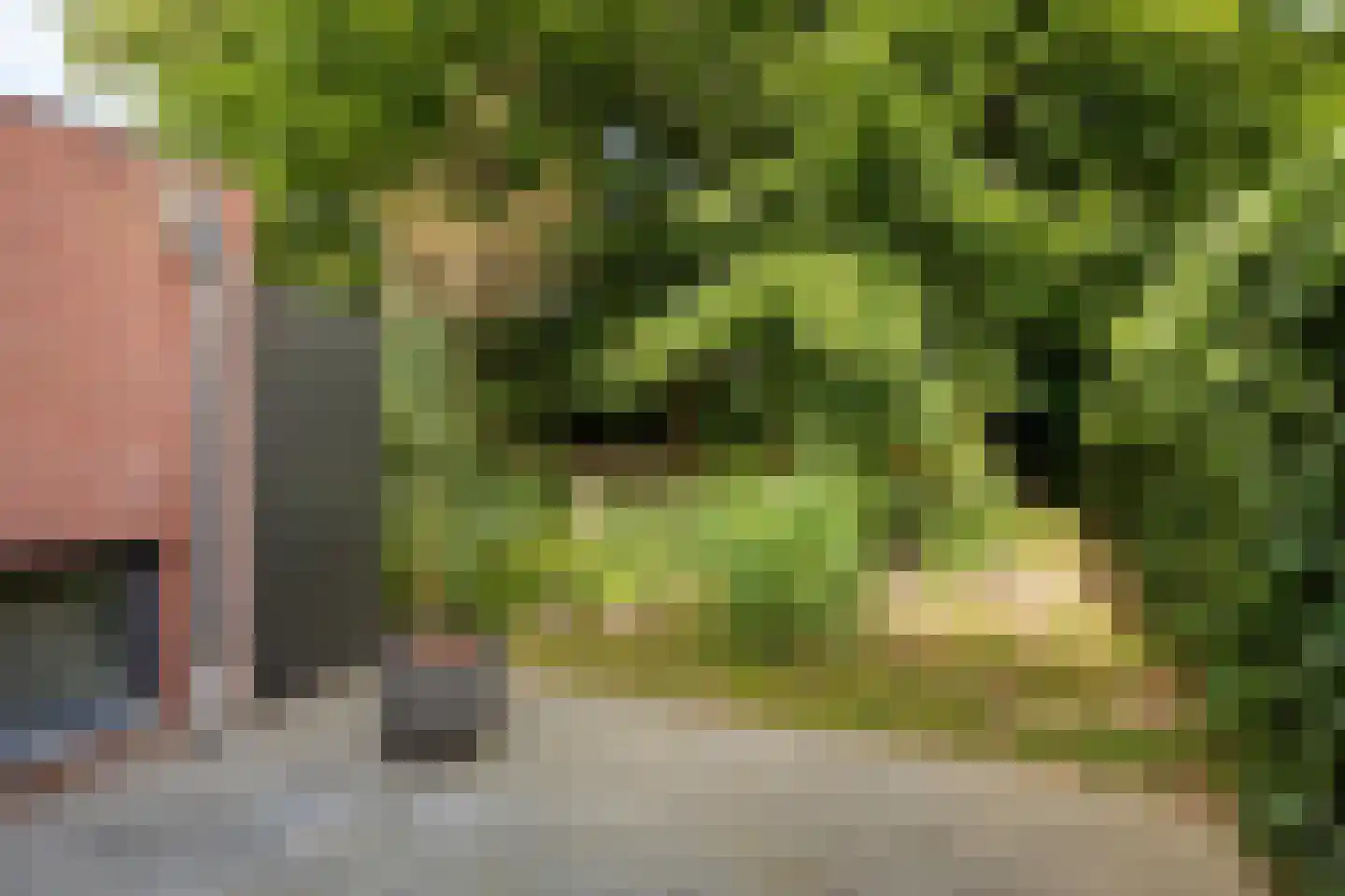 Aan het beeldje 22 Gronsveld thumbnail 60