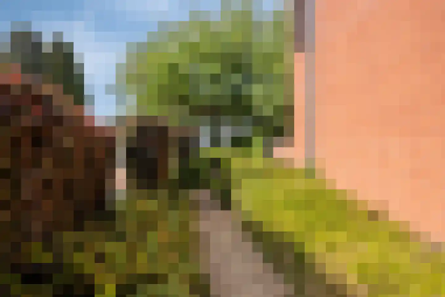 Aan het beeldje 22 Gronsveld thumbnail 61