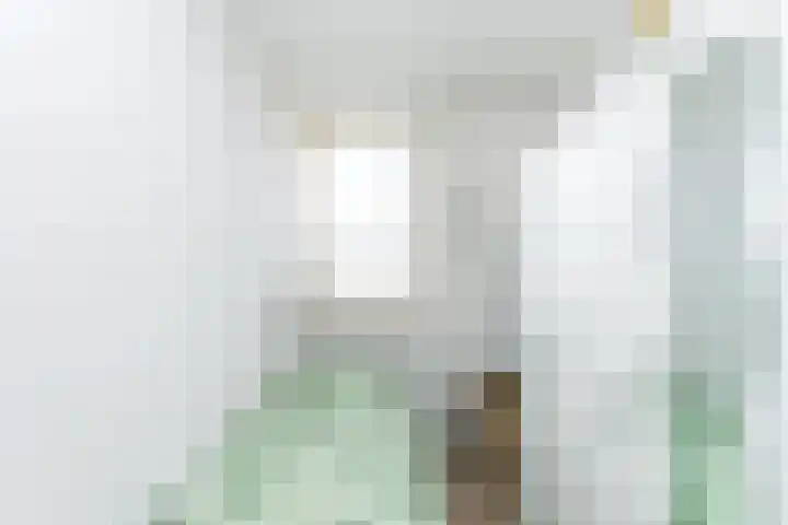 Aan het Broek 28 Schinveld thumbnail 14