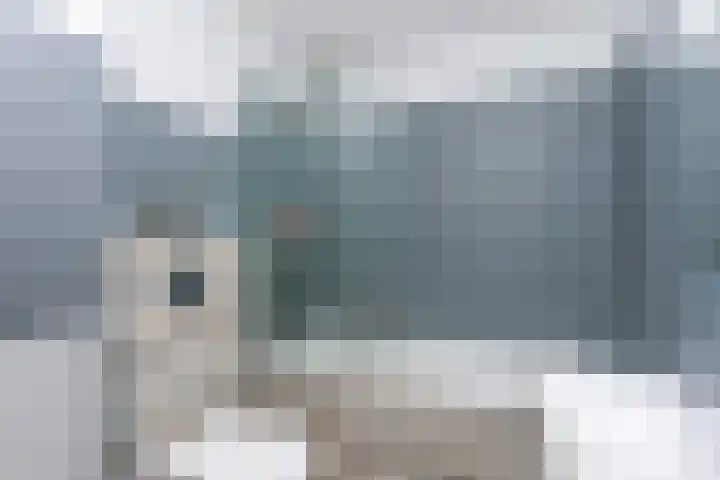 Aan het Broek 28 Schinveld thumbnail 15
