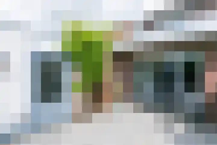 Aan het Broek 28 Schinveld thumbnail 19