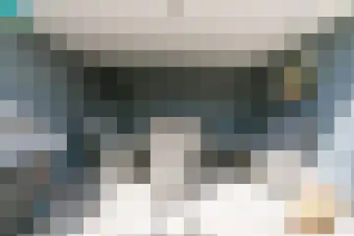 Aan het Broek 28 Schinveld thumbnail 22