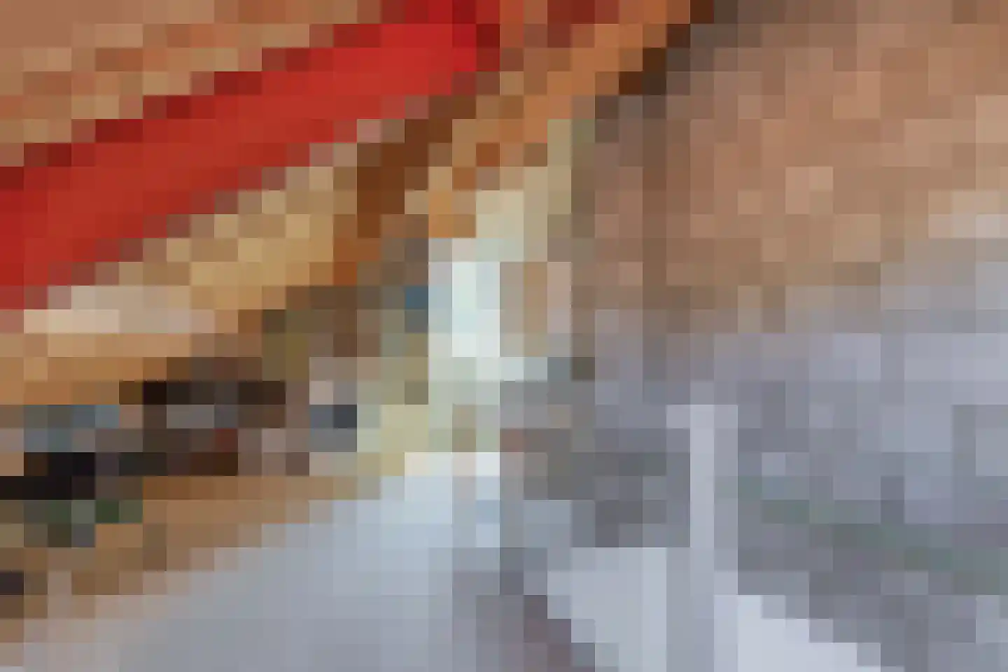 Aan het Broek 3 Belfeld thumbnail 21