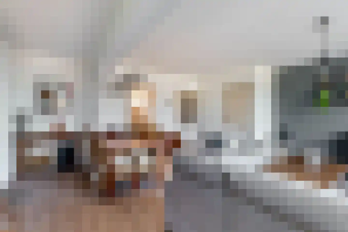 Aan het Broek 3 Belfeld thumbnail 7