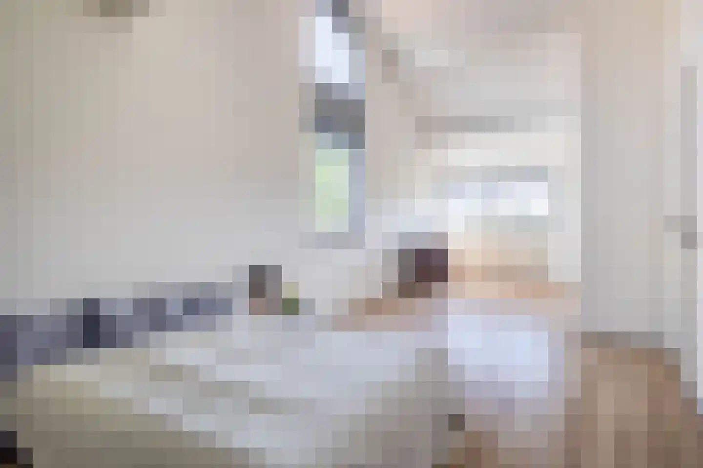 Aan het Broek 65 Belfeld thumbnail 22