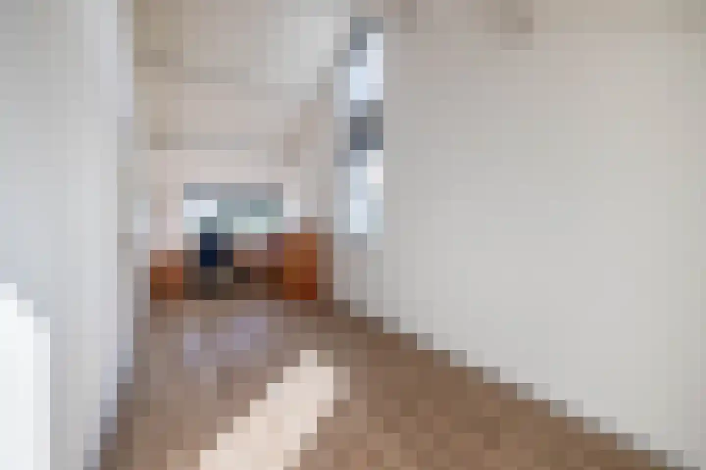Aan het Broek 65 Belfeld thumbnail 25