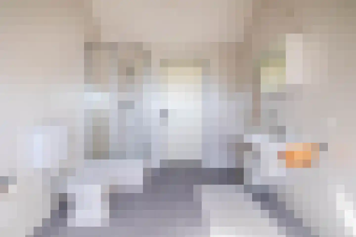 Aan het Broek 65 Belfeld thumbnail 27