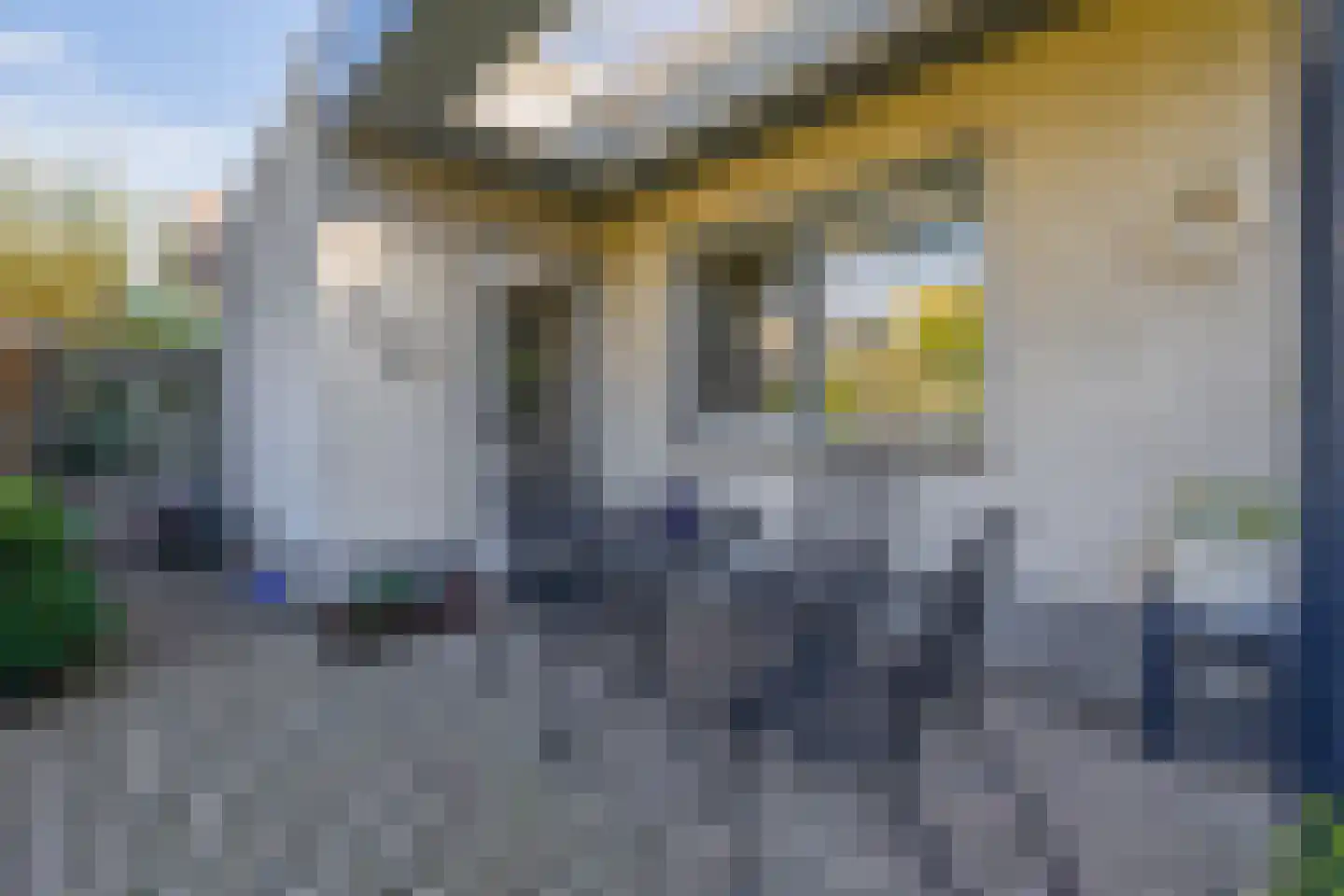 Aan het Broek 65 Belfeld thumbnail 29
