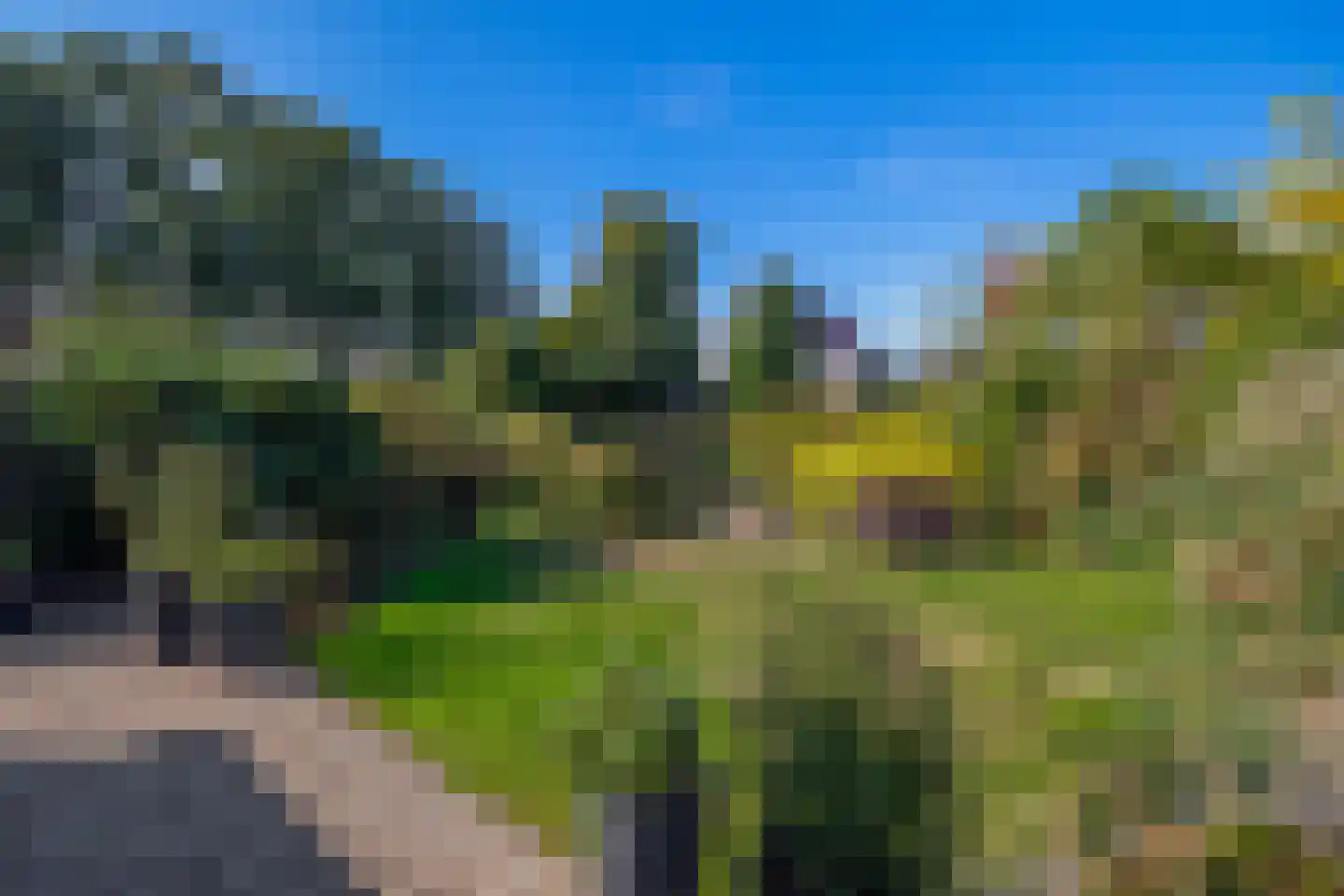 Aan het Broek 65 Belfeld thumbnail 30