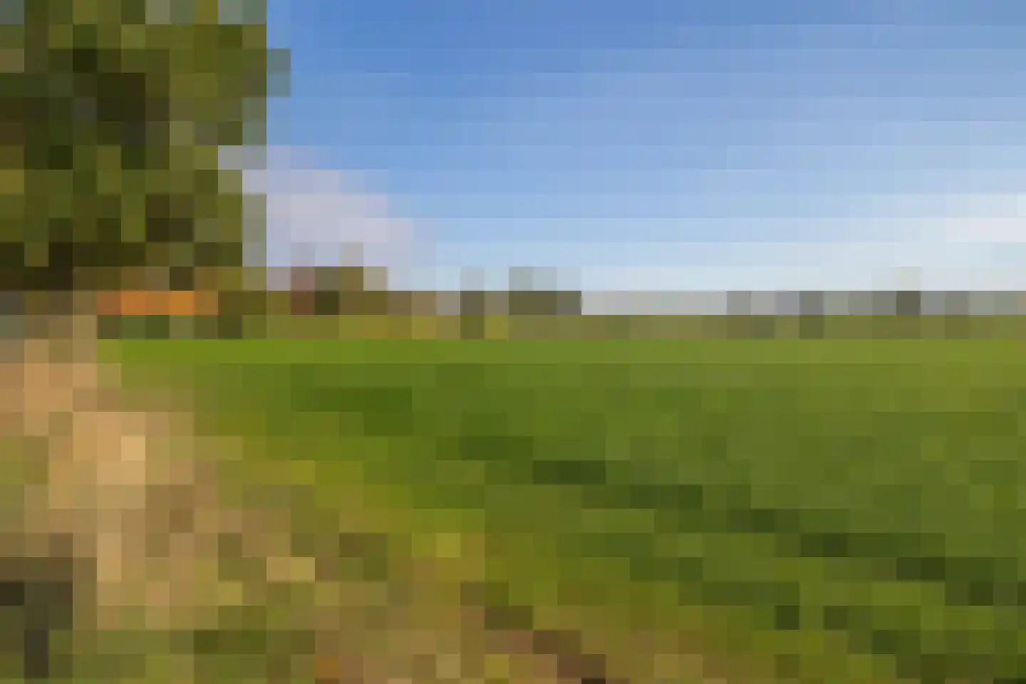 Aan het Broek 65 Belfeld thumbnail 34
