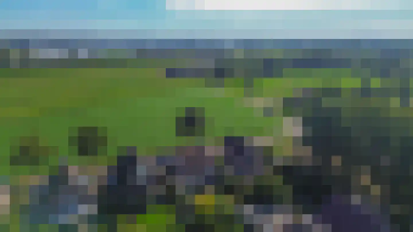 Aan het Broek 65 Belfeld thumbnail 37